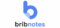 bribnotes